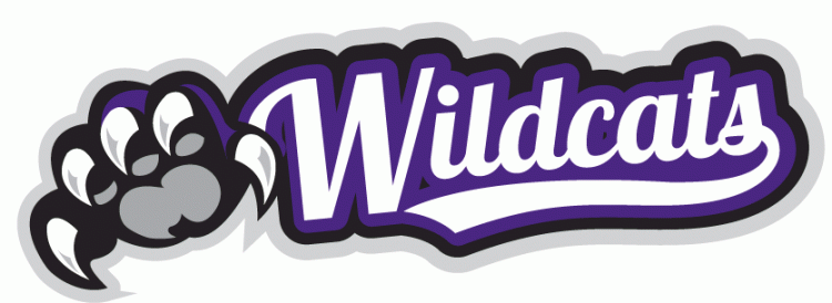 Weber State Wildcats 2012-Pres Misc Logo iron on transfers for clothing